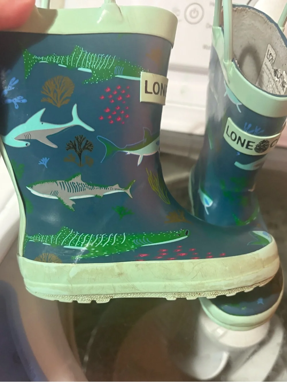 Lone Cone Rain Boots